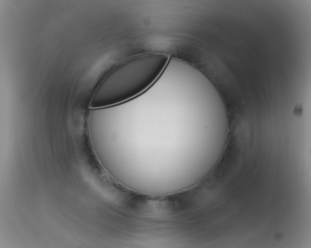 X0000113960744200910162003