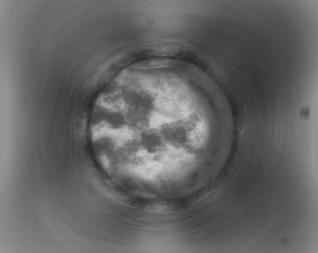 X0000113960745200910162003