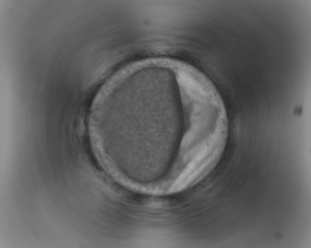 X0000113960746200910162003