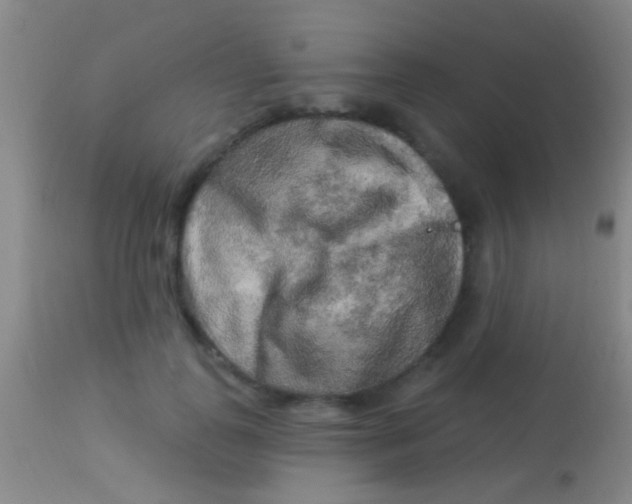 X0000113960747200910162003