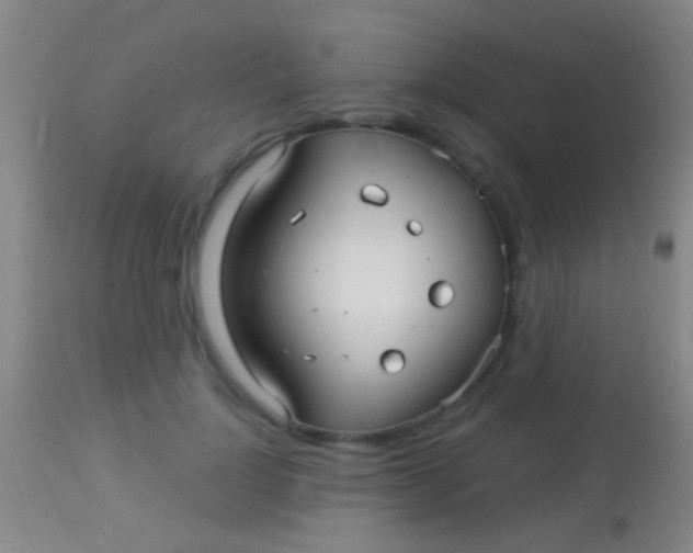 X0000113960748200910162003