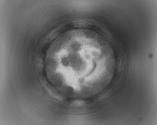 X0000113960749200910162003