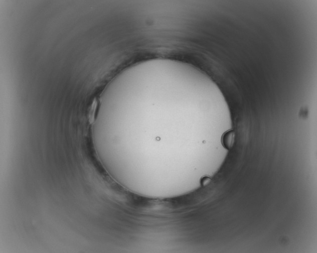 X0000113960750200910162003