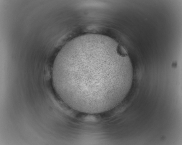 X0000113960751200910162003