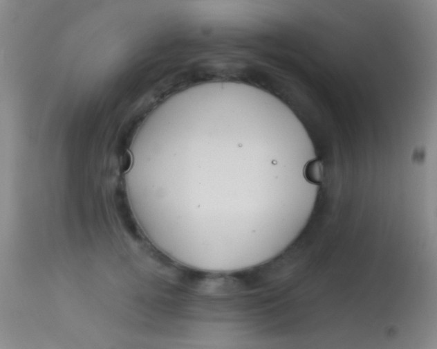 X0000113960752200910162003