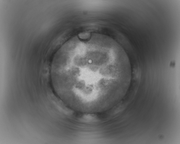 X0000113960753200910162003