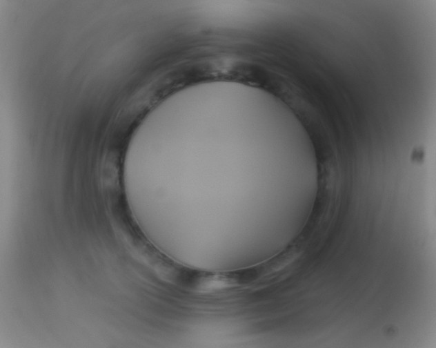 X0000113960754200910162003