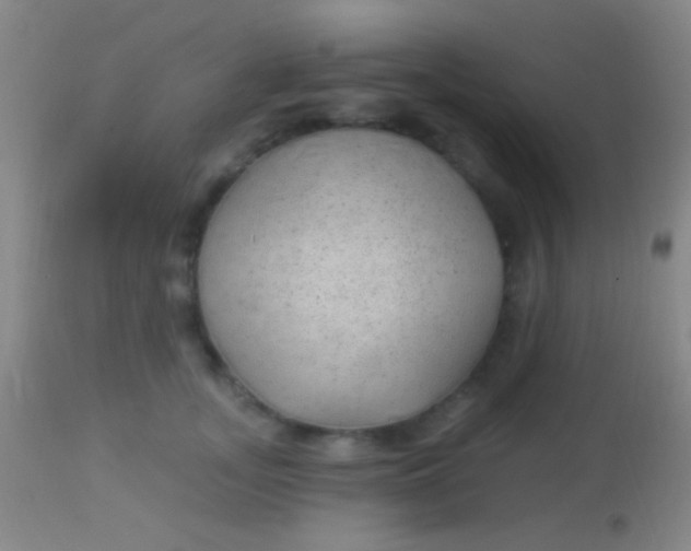 X0000113960755200910162003