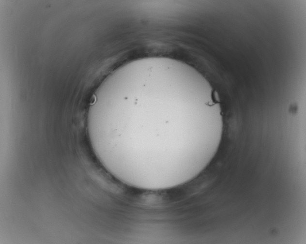 X0000113960756200910162003