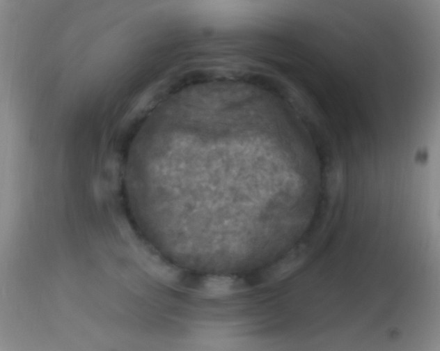 X0000113960757200910162003