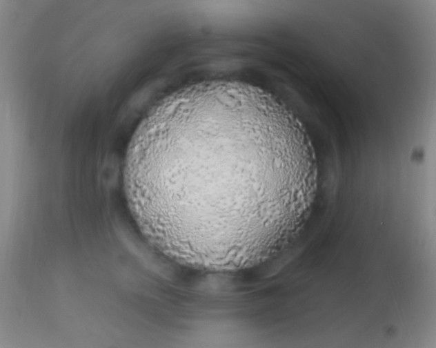 X0000113960758200910162003