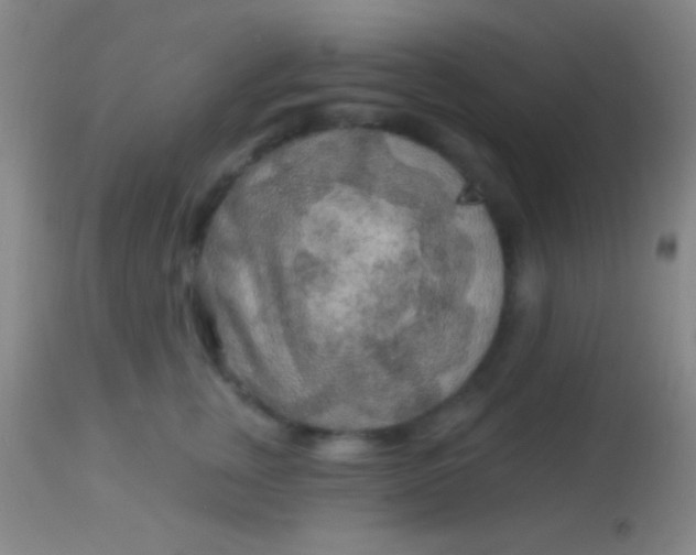 X0000113960759200910162003