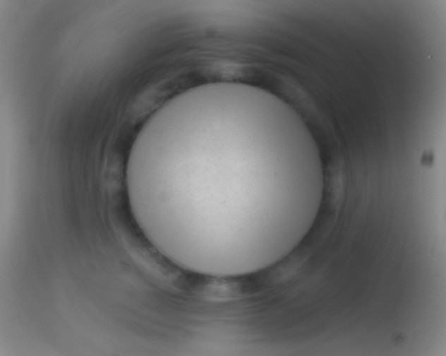 X0000113960760200910162003