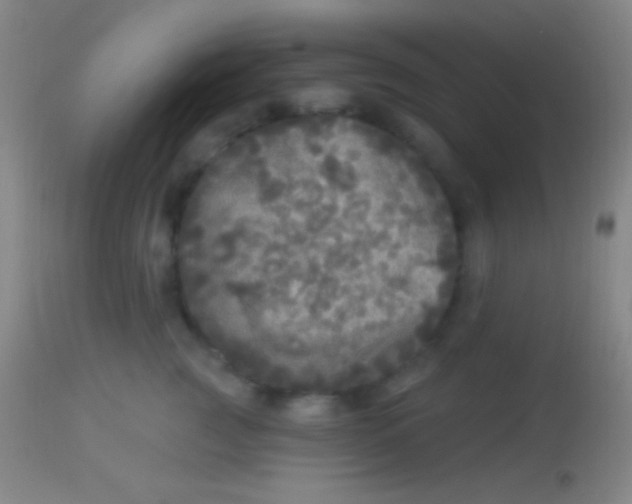 X0000113960761200910162003