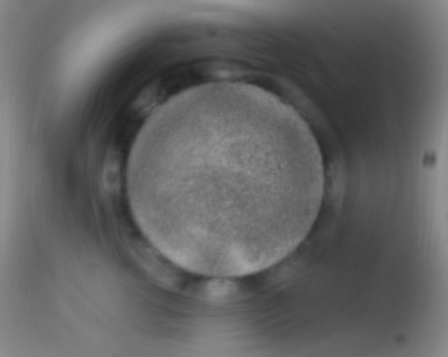 X0000113960762200910162003