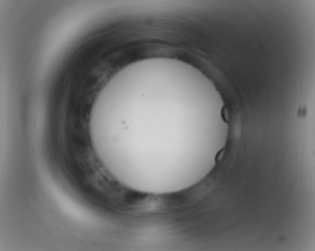 X0000113960764200910162003