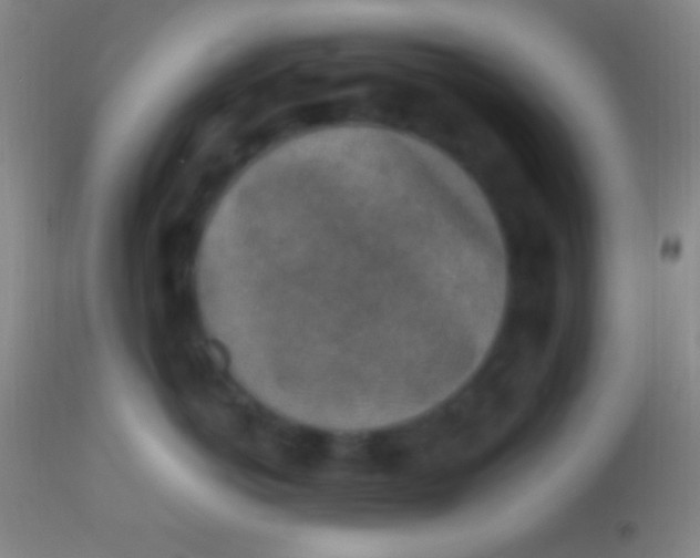 X0000113960766200910162003