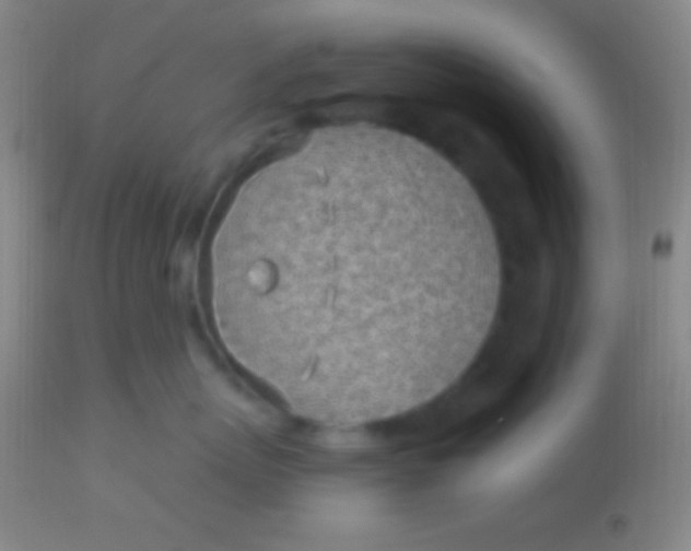 X0000113960767200910162003