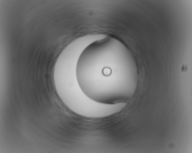 X0000113960768200910162003