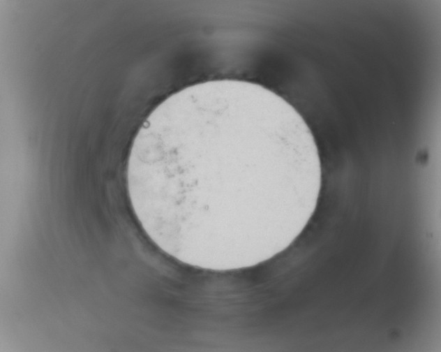 X0000113960769200910162003