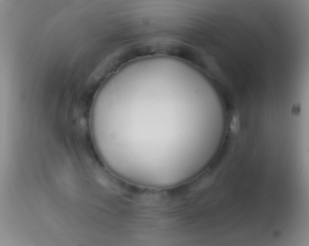 X0000113960771200910162003