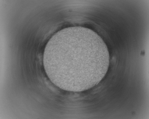 X0000113960772200910162003