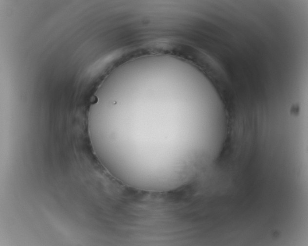 X0000113960773200910162003