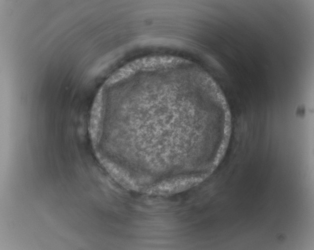 X0000113960774200910162003