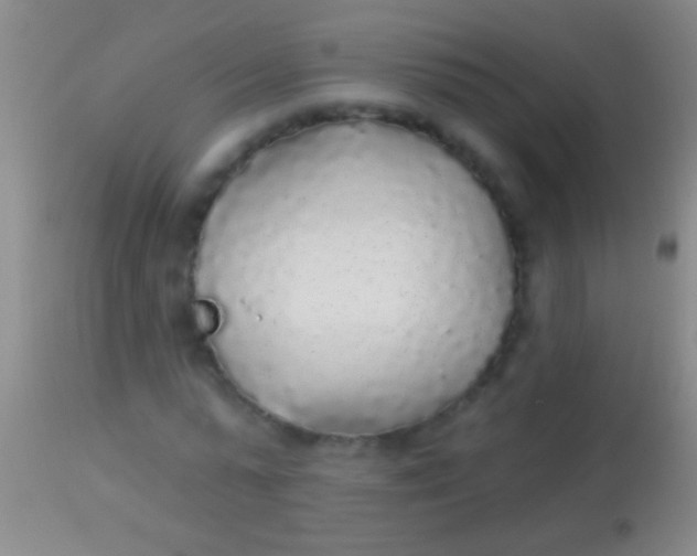 X0000113960775200910162003