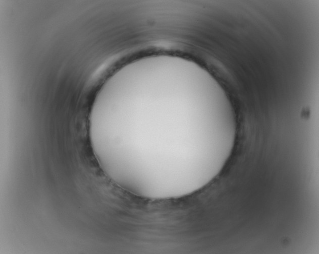 X0000113960776200910162003