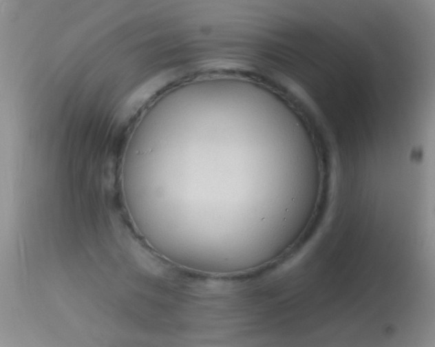 X0000113960777200910162002