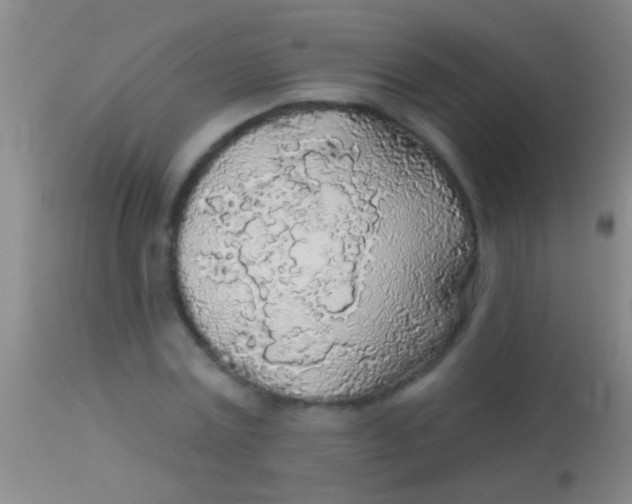 X0000113960779200910162002