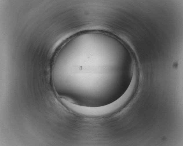 X0000113960781200910162002