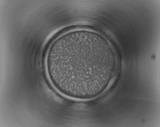 X0000113960784200910162002