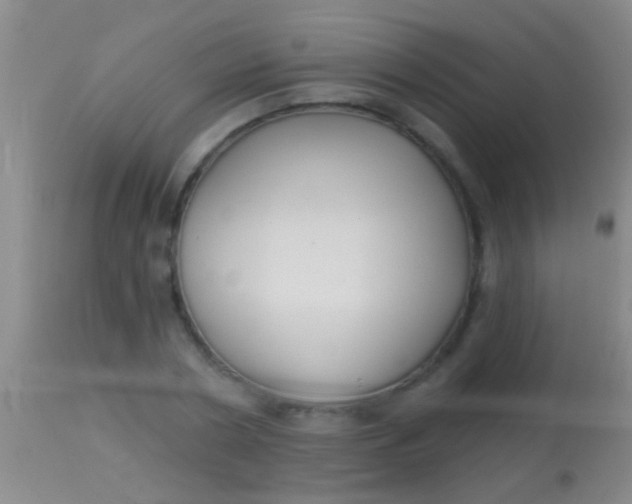 X0000113960786200910162002