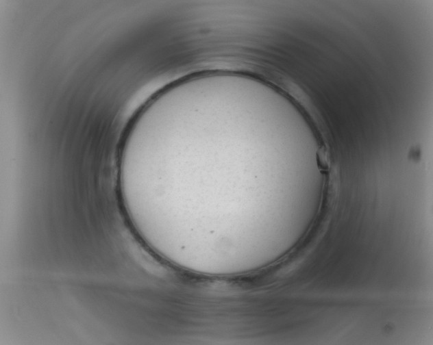 X0000113960787200910162002