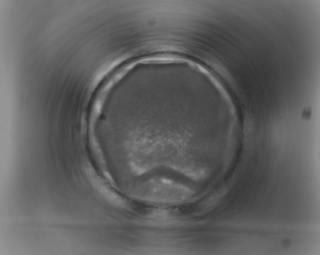 X0000113960790200910162002