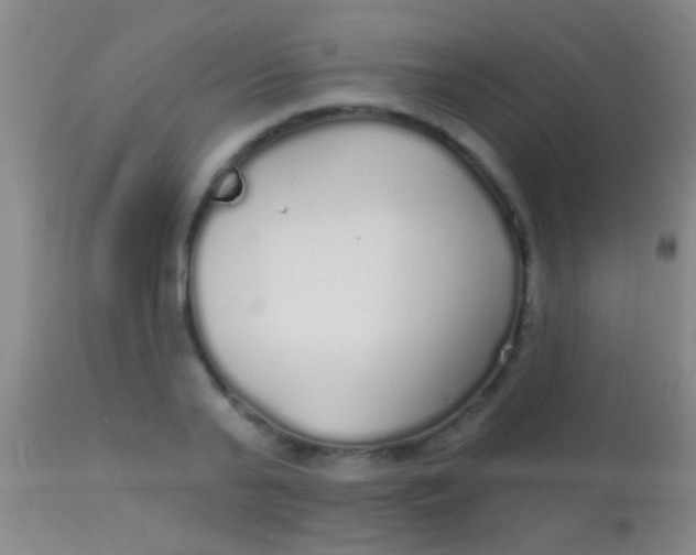 X0000113960791200910162002