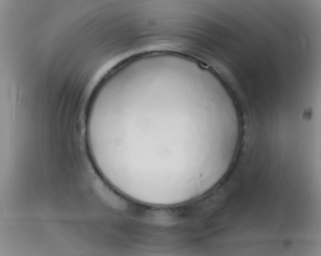 X0000113960792200910162002