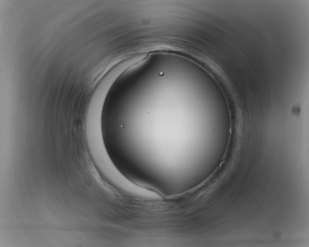 X0000113960793200910162002