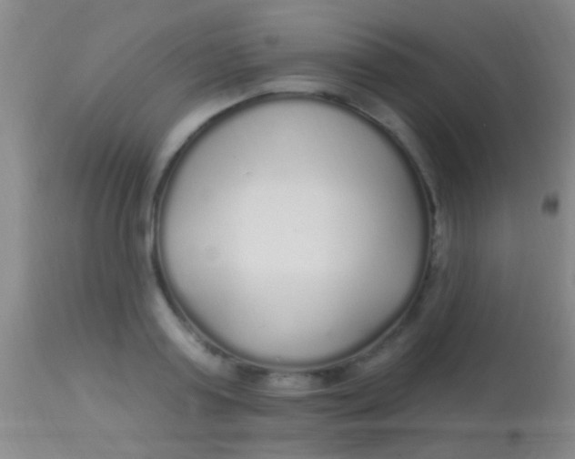 X0000113960795200910162002