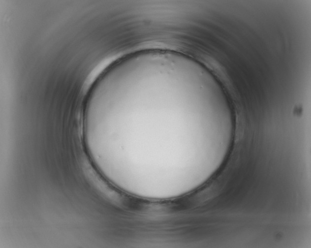 X0000113960796200910162002