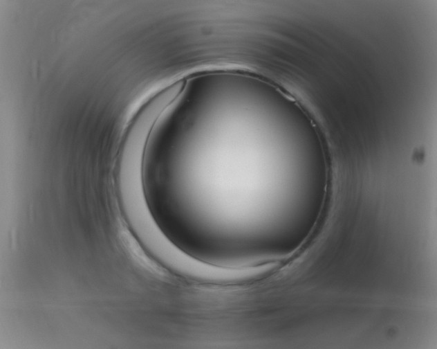 X0000113960797200910162002