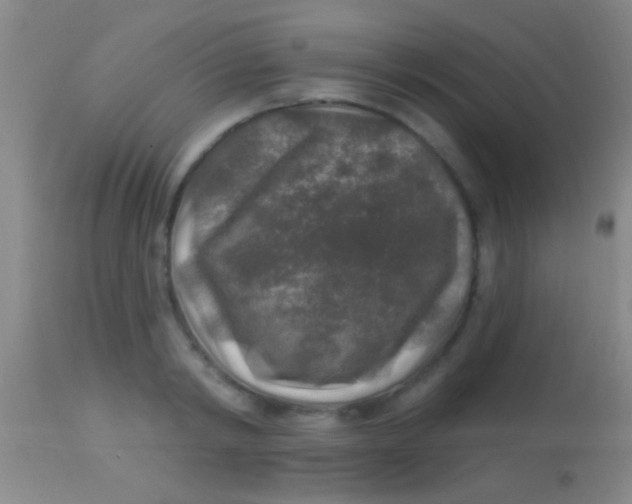 X0000113960798200910162002