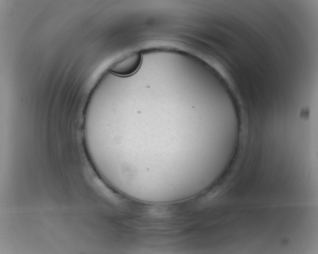 X0000113960799200910162002