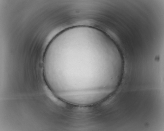 X0000113960800200910162002