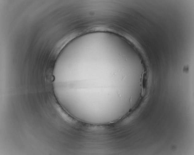 X0000113960801200910162002