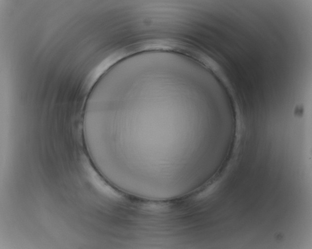 X0000113960802200910162002