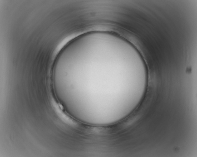 X0000113960803200910162002