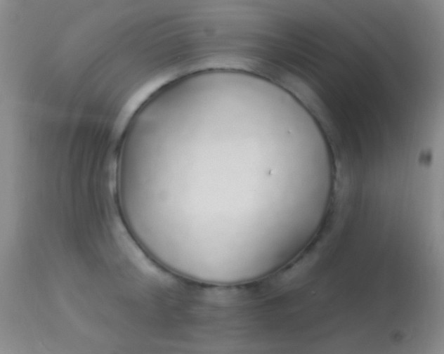 X0000113960804200910162002